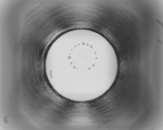 X0000103280836200808291309