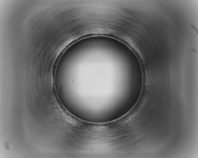 X0000103280837200808291309