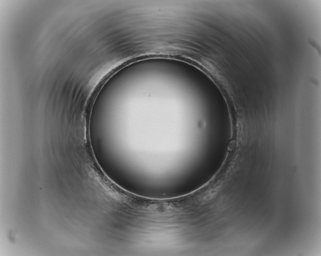 X0000103280838200808291309