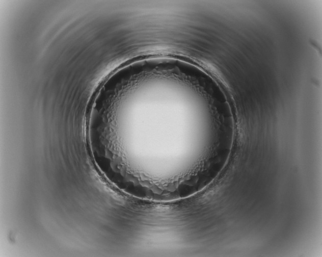 X0000103280839200808291309