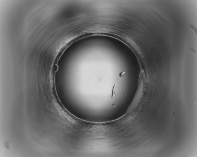 X0000103280840200808291309