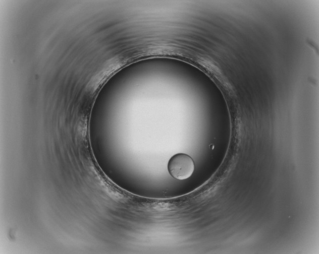 X0000103280841200808291309