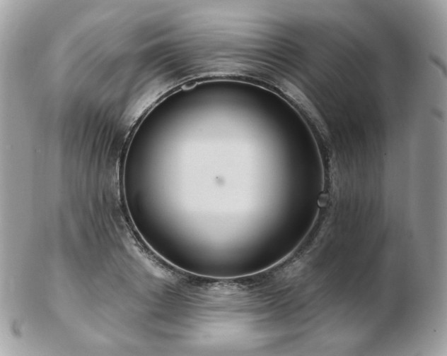 X0000103280842200808291309