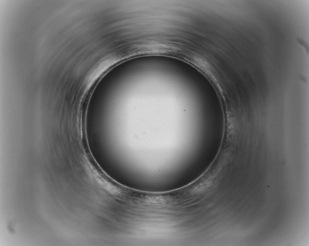 X0000103280843200808291309