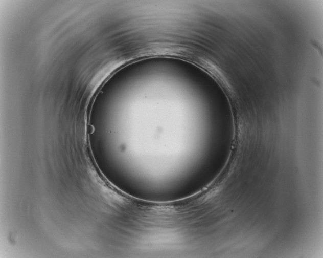 X0000103280844200808291309