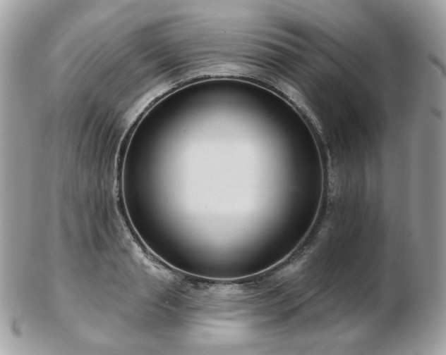 X0000103280845200808291309