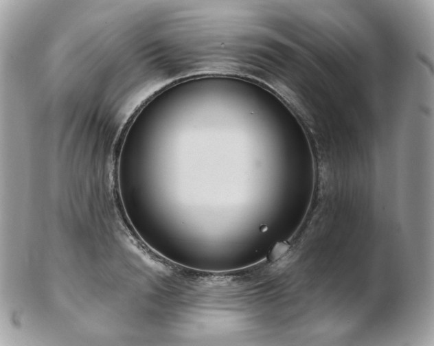 X0000103280846200808291309