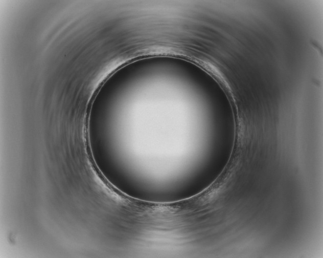 X0000103280847200808291309