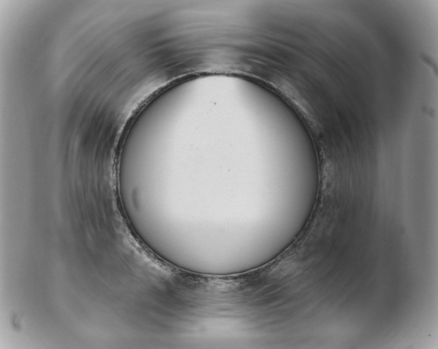 X0000103280848200808291309