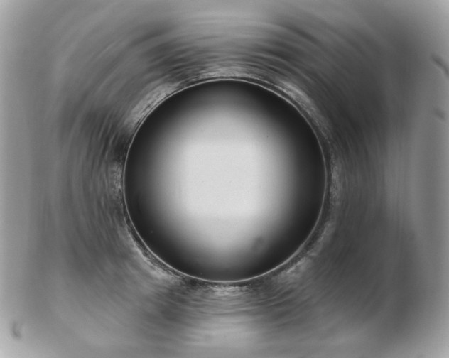 X0000103280849200808291309