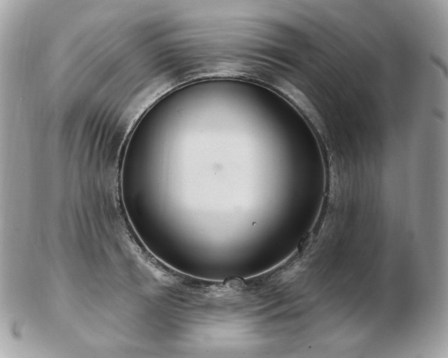 X0000103280850200808291310