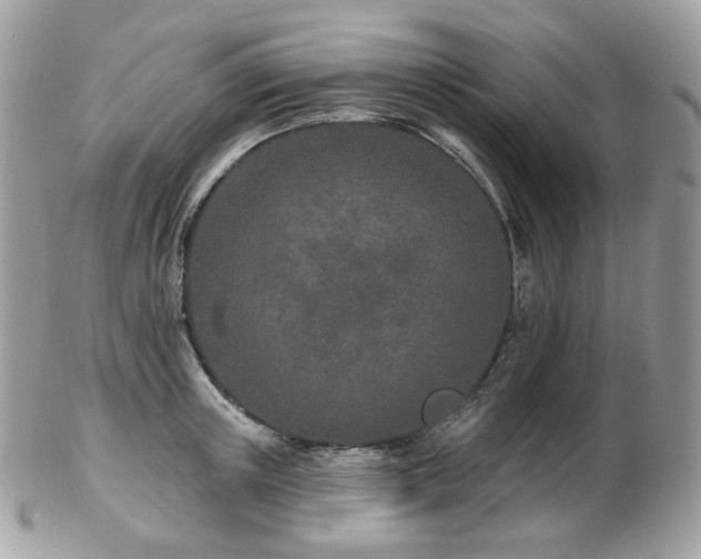 X0000103280851200808291310