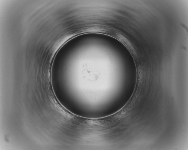 X0000103280852200808291310