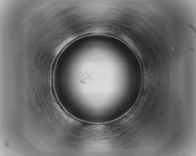 X0000103280853200808291310