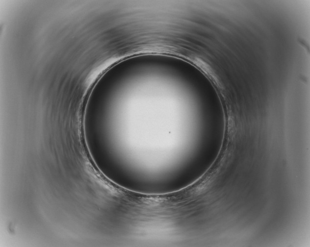 X0000103280854200808291310