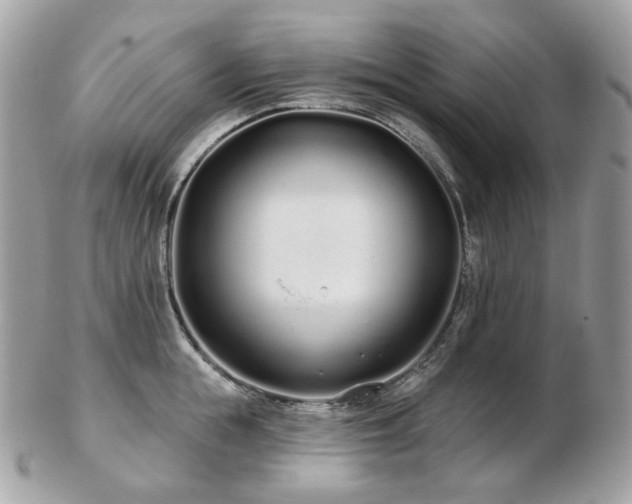 X0000103280855200808291310