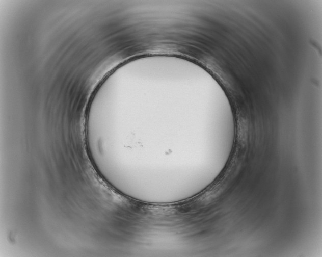 X0000103280856200808291310