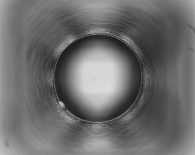 X0000103280857200808291310