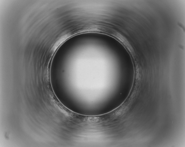 X0000103280858200808291310