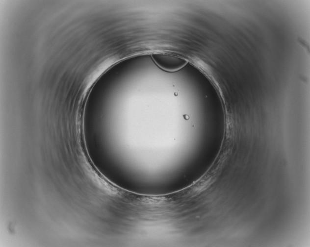 X0000103280859200808291310