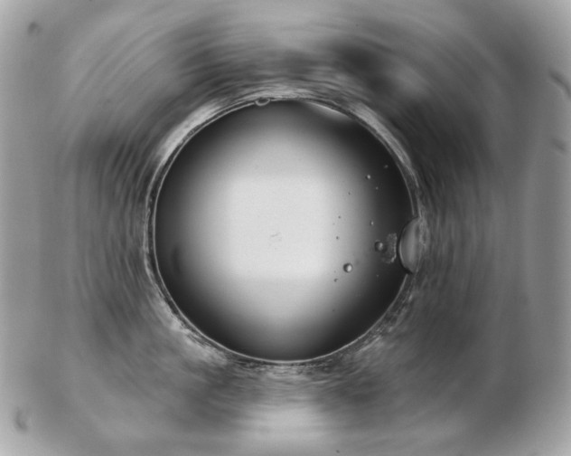 X0000103280861200808291310