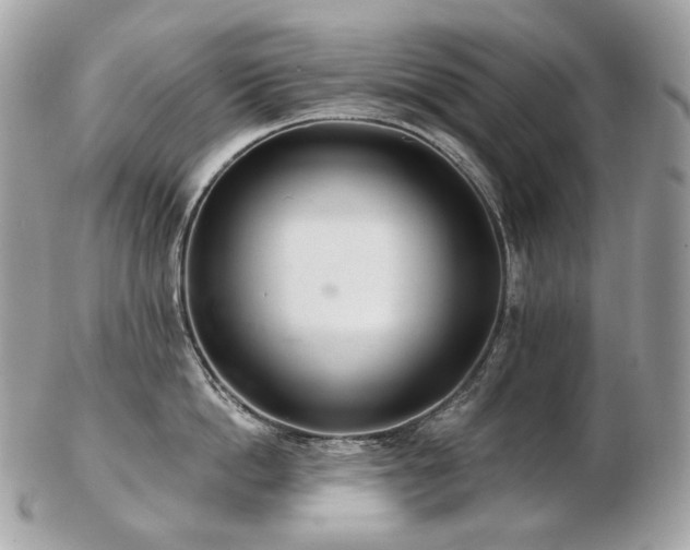 X0000103280862200808291310