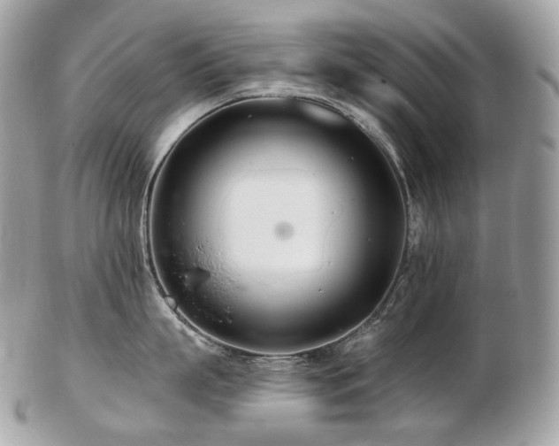 X0000103280863200808291310