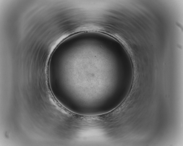 X0000103280864200808291310