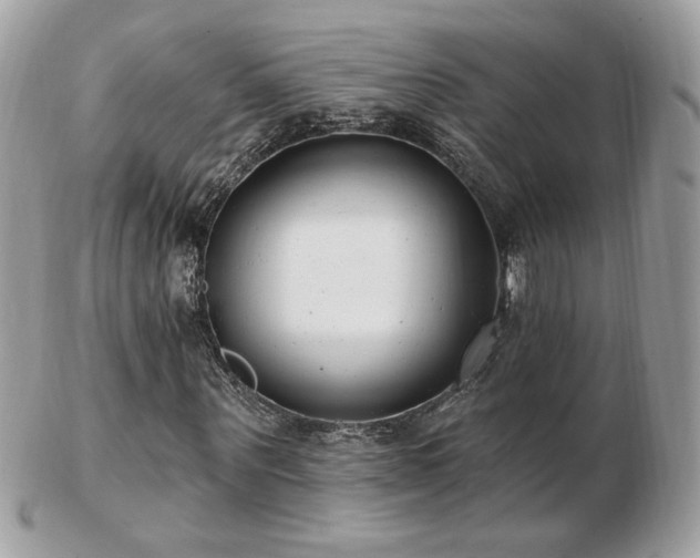 X0000103280867200808291309