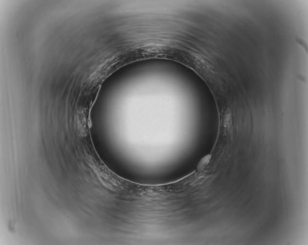 X0000103280868200808291309