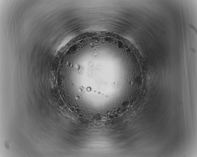 X0000103280871200808291309