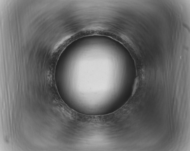 X0000103280872200808291309