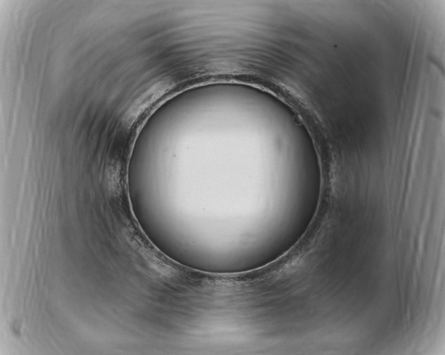 X0000103280873200808291309