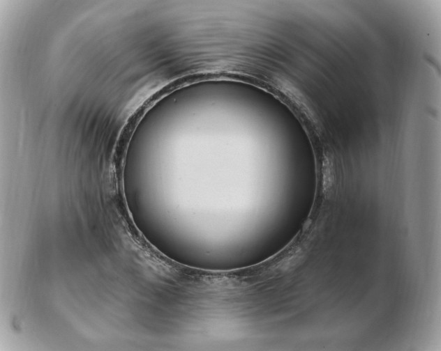 X0000103280876200808291309