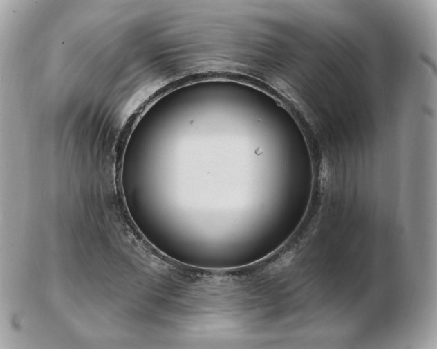 X0000103280877200808291309