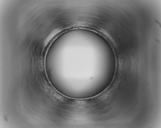 X0000103280878200808291309