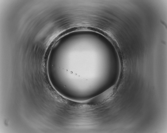 X0000103280879200808291309