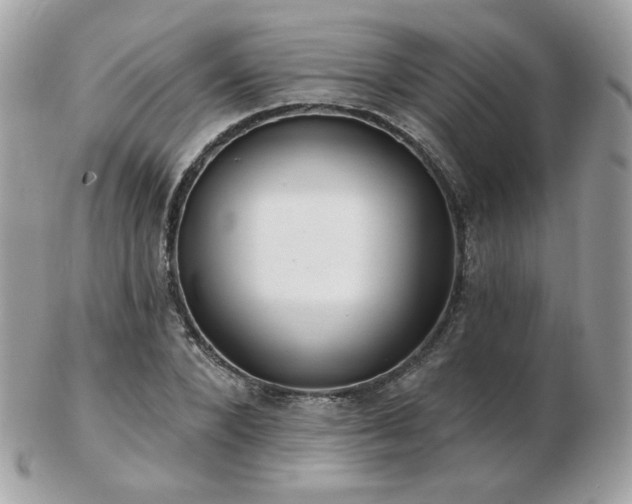 X0000103280880200808291309