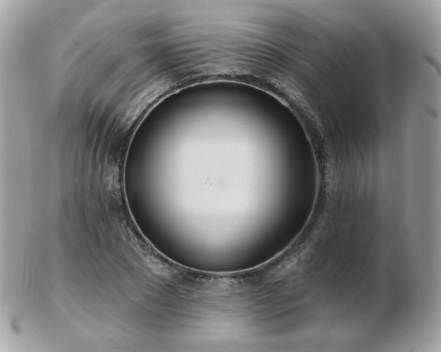 X0000103280881200808291309