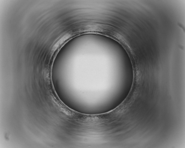 X0000103280882200808291309