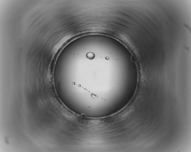 X0000103280883200808291309