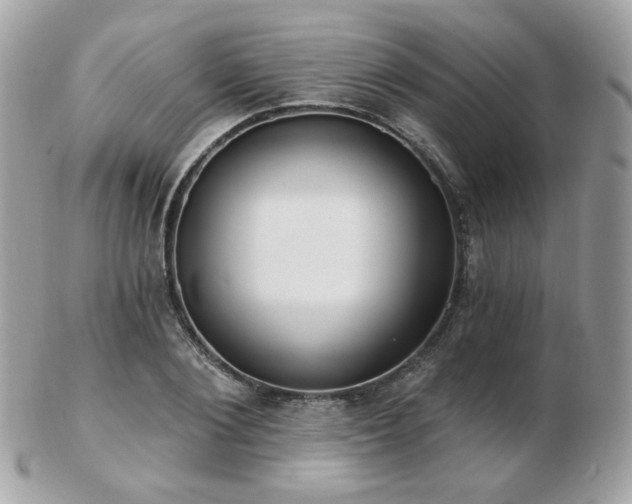 X0000103280884200808291309