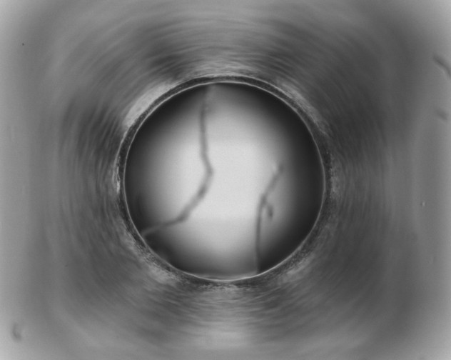 X0000103280885200808291309