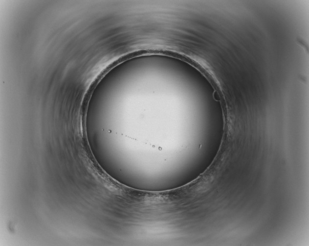 X0000103280887200808291309