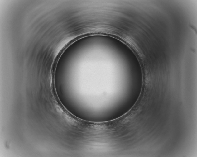 X0000103280888200808291309