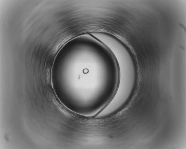 X0000103280889200808291309