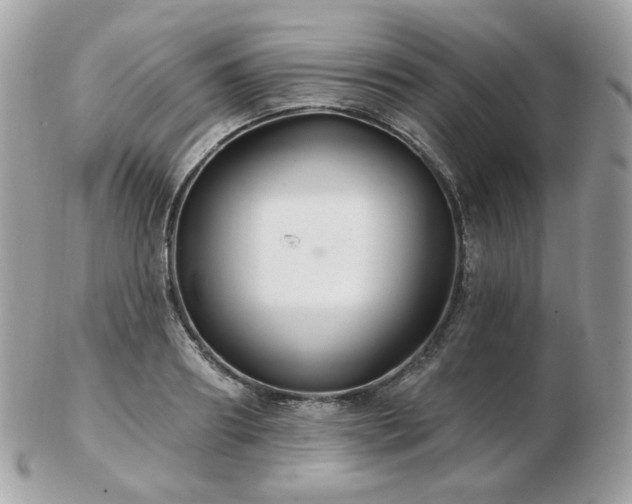 X0000103280890200808291309