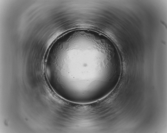 X0000103280891200808291309