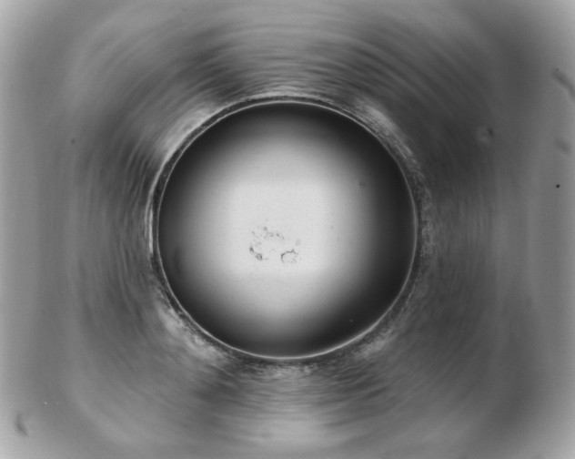 X0000103280892200808291309