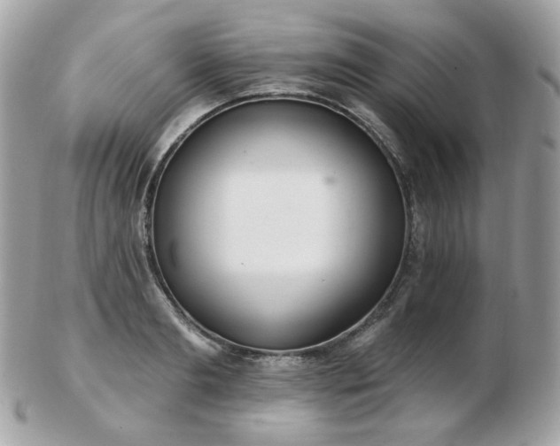 X0000103280893200808291309